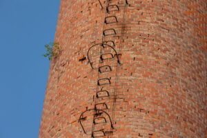 Schlot vor der Kürzung. Detail Bewuchs. Quelle: Sammlung Roland Barth